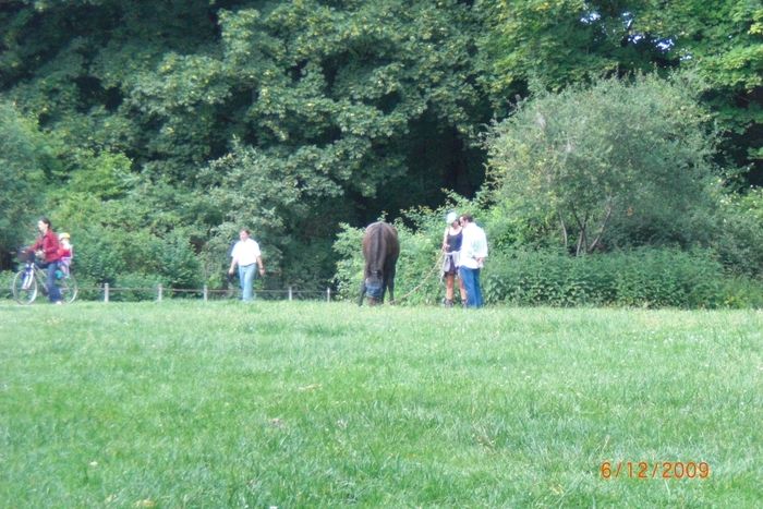 Englischer Garten