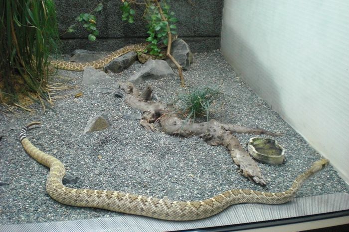 Nutzerbilder Zoologischer Garten Berlin AG