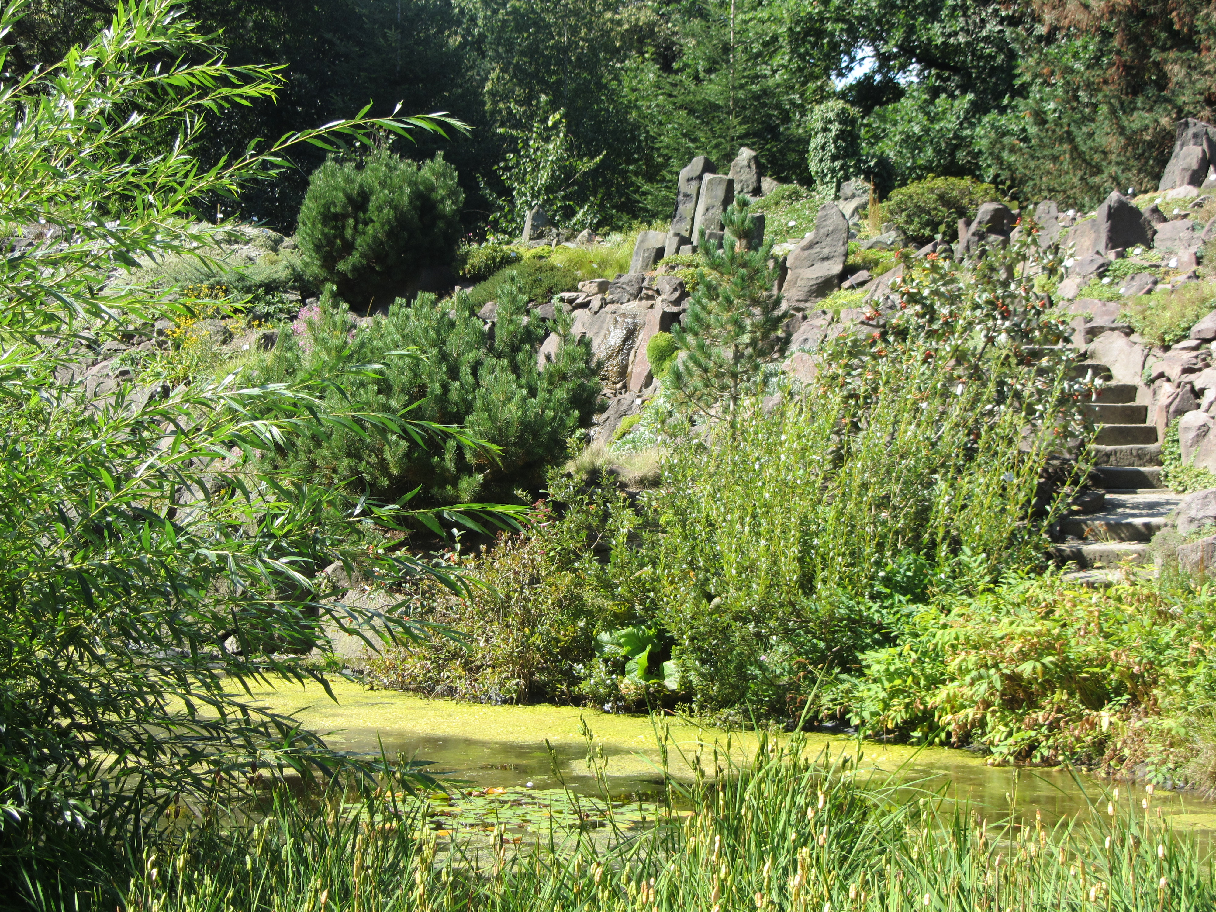 Botanischer Garten in Dresden