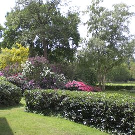 Garten Hotel Eiden