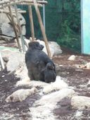 Nutzerbilder Münchener Tierpark Hellabrunn