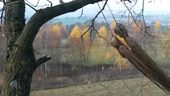 Nutzerbilder Wildgarten Furth im Wald