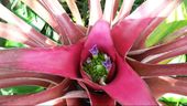 Nutzerbilder Café im Botanischen Garten