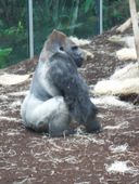 Nutzerbilder Münchener Tierpark Hellabrunn