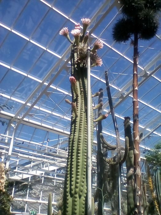 Nutzerbilder Café im Botanischen Garten