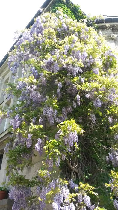 Nutzerbilder Café im Botanischen Garten