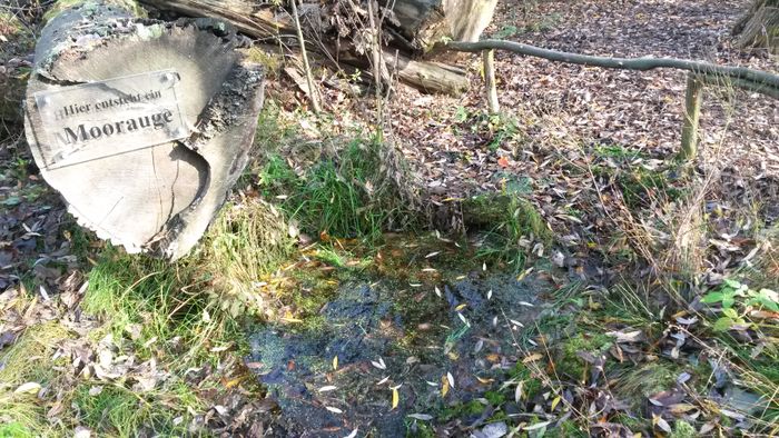 Nutzerbilder Wildgarten Furth im Wald