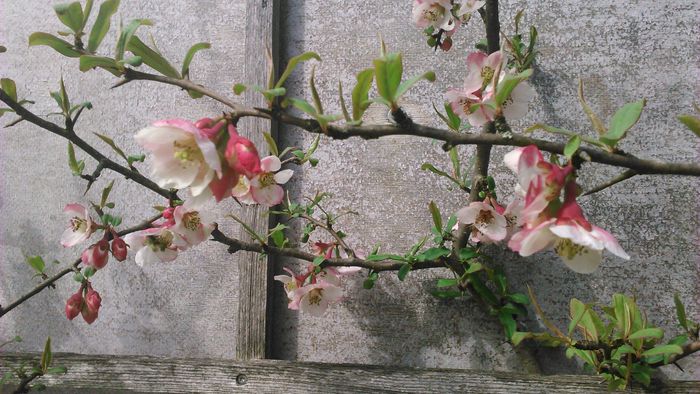 Nutzerbilder Café im Botanischen Garten