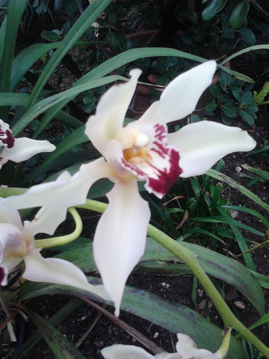 Nutzerbilder Café im Botanischen Garten