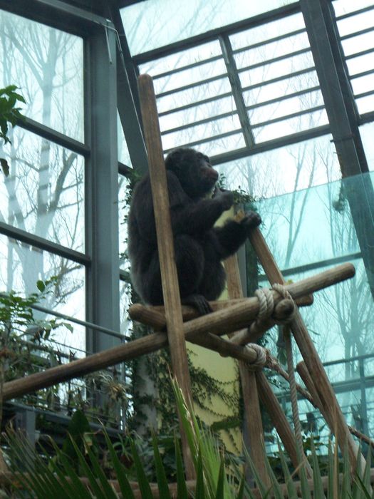 Nutzerbilder Münchener Tierpark Hellabrunn