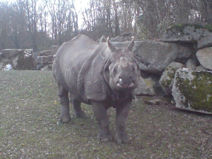 Nutzerbilder Münchener Tierpark Hellabrunn