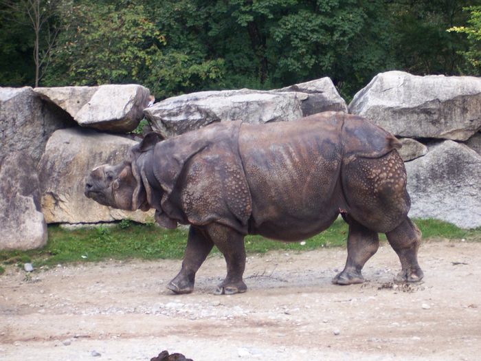 Nutzerbilder Münchener Tierpark Hellabrunn