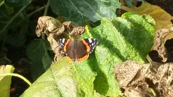 Bild zu Wild- und Freizeitpark