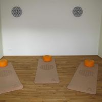Bild zu Yvonne Kann, Raum für Neue Wege: Qigong, Meditation, Waldbaden und gesunde Lebensführung