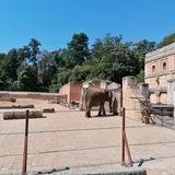 Erlebnis-Zoo Hannover in Hannover