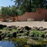 Erlebnis-Zoo Hannover in Hannover