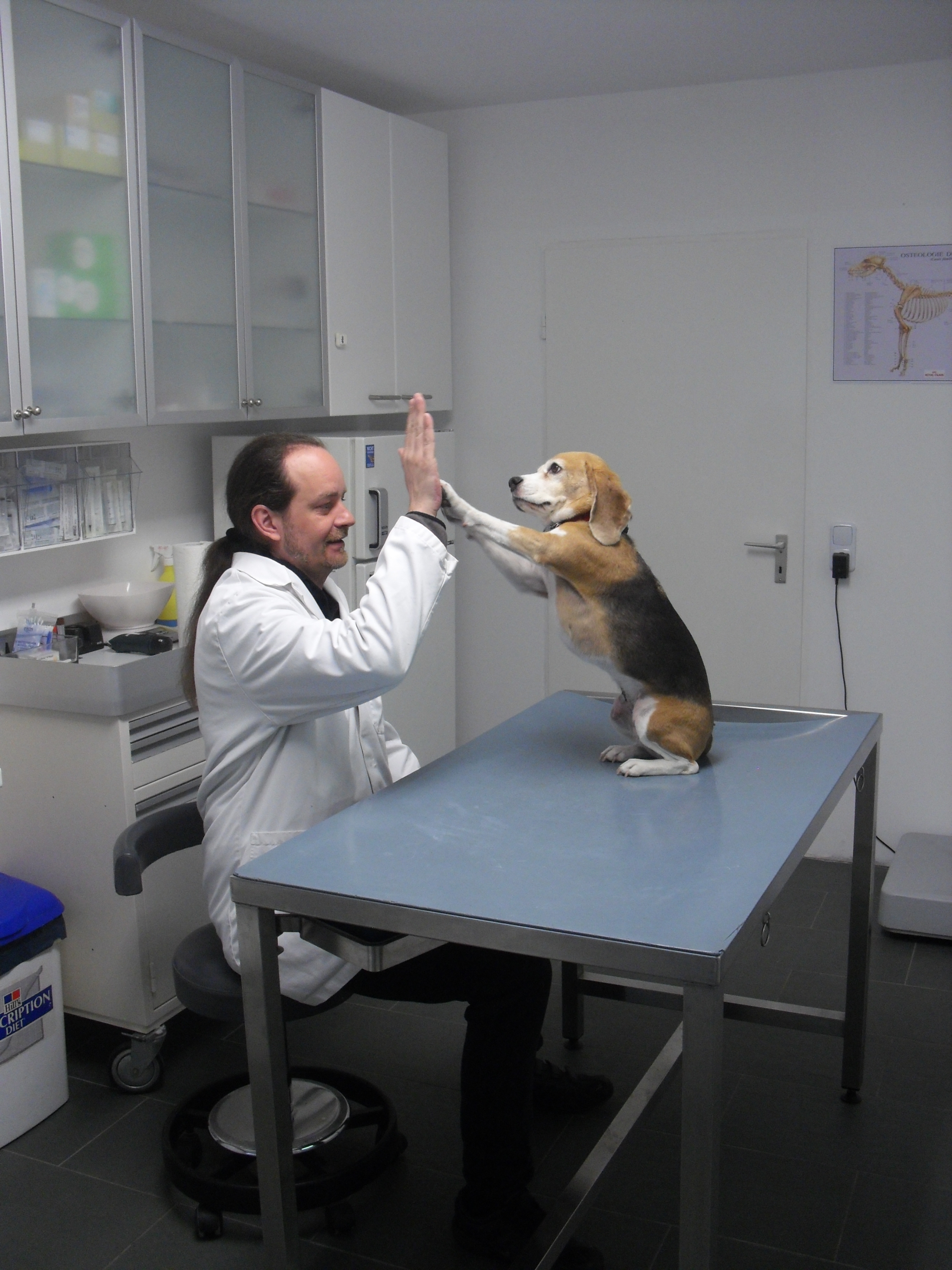 Bild 1 Tierarztpraxis Tobias Krause in Berlin