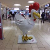 Hühner Guru in Dortmund