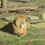 Zoo Dortmund in Dortmund