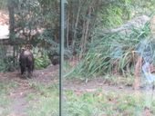 Nutzerbilder ZOO Duisburg AG