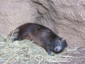 Nutzerbilder ZOO Duisburg AG