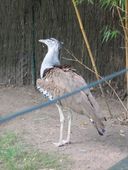 Nutzerbilder ZOO Duisburg AG