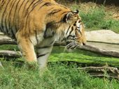 Nutzerbilder ZOO Duisburg AG