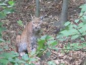 Nutzerbilder ZOO Duisburg AG