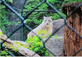 Nutzerbilder Münchener Tierpark Hellabrunn