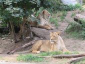 Nutzerbilder ZOO Duisburg AG