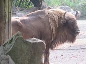 Nutzerbilder ZOO Duisburg AG