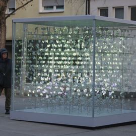 'Glass Cube' von Giny Vos