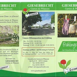 Flyer (1)