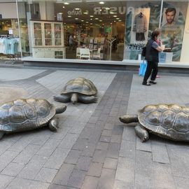 Bronzeschildkröten in der Fußgängerzone