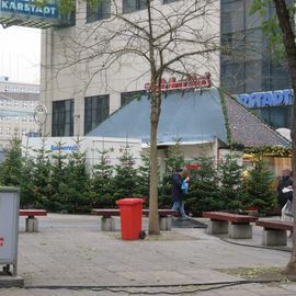 Alter Markt - 2020, Bäume vom Dortmunder Weihnachtsbaum
