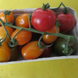Tomaten (3€)