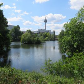 Schwanenspiegel und Fernsehturm