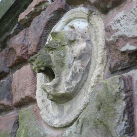 Wasserspeier in der alten Mauer