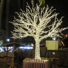 Lichterbaum in der Kleppingstraße
