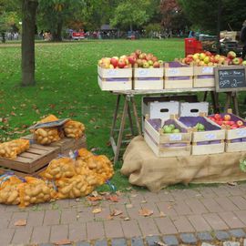 Herbstmarkt '21 - Obst und Gemüse