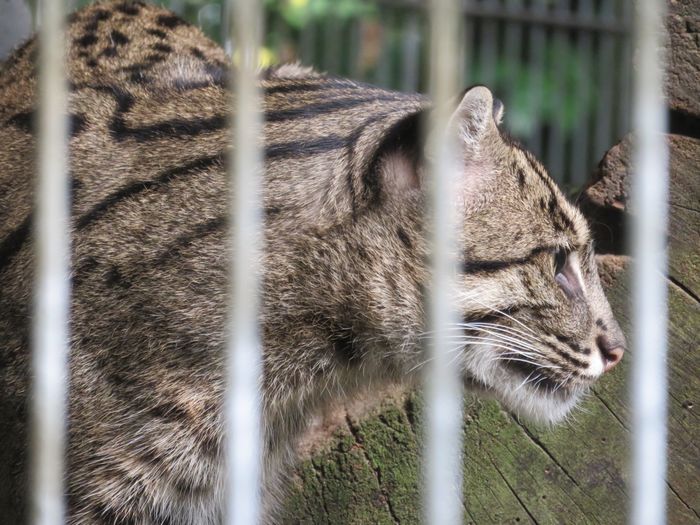 Nutzerbilder ZOO Duisburg AG