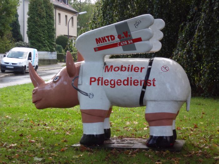 Pflegedienst-Nashorn