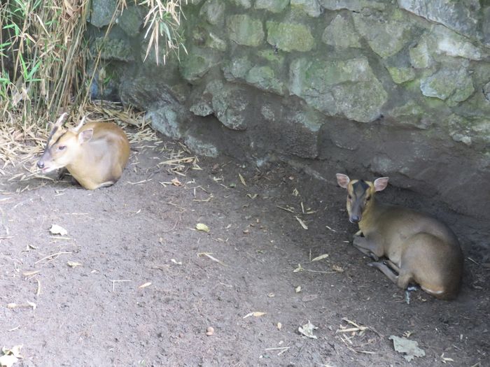 Nutzerbilder ZOO Duisburg AG