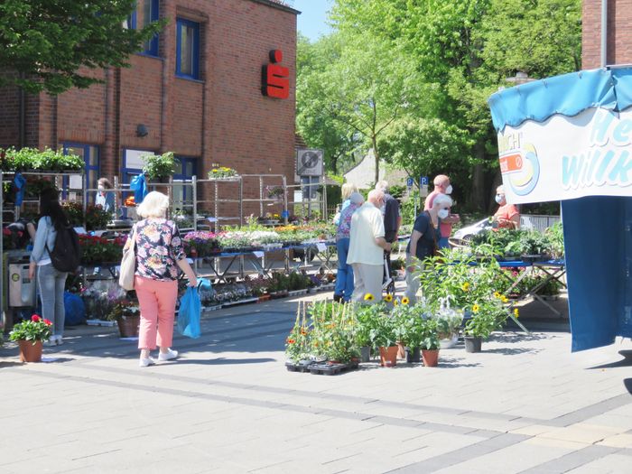 Blumen vor der Sparkasse