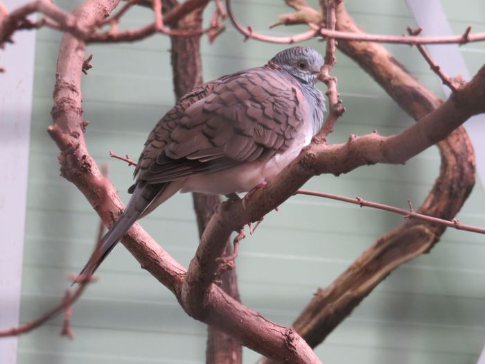 Nutzerbilder ZOO Duisburg AG