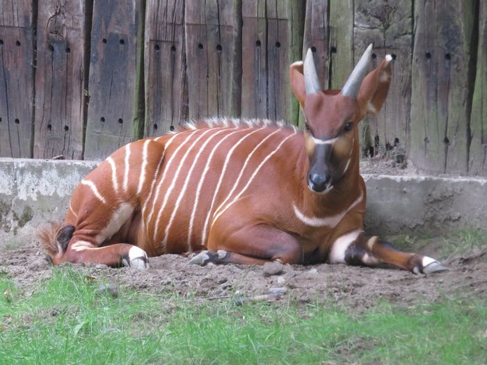 Nutzerbilder ZOO Duisburg AG