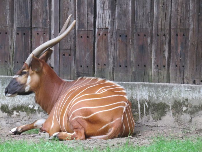 Nutzerbilder ZOO Duisburg AG