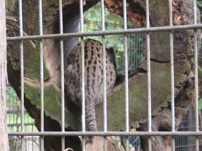 Nutzerbilder ZOO Duisburg AG