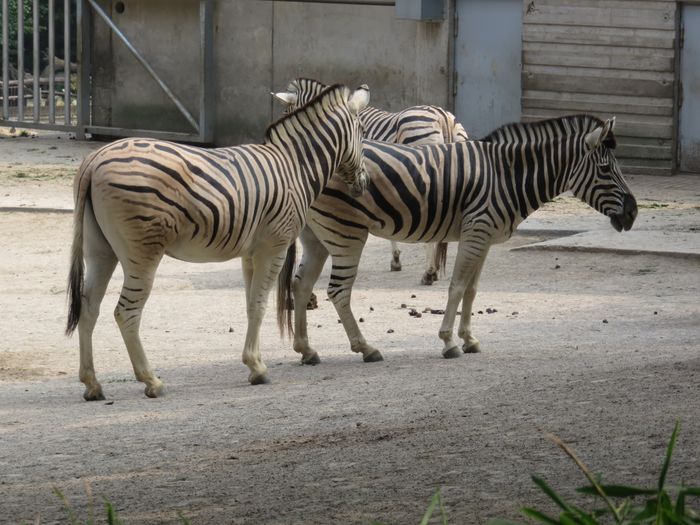 Nutzerbilder ZOO Duisburg AG