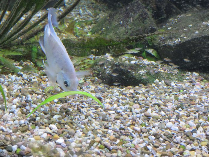 Nutzerbilder ZOO Duisburg AG